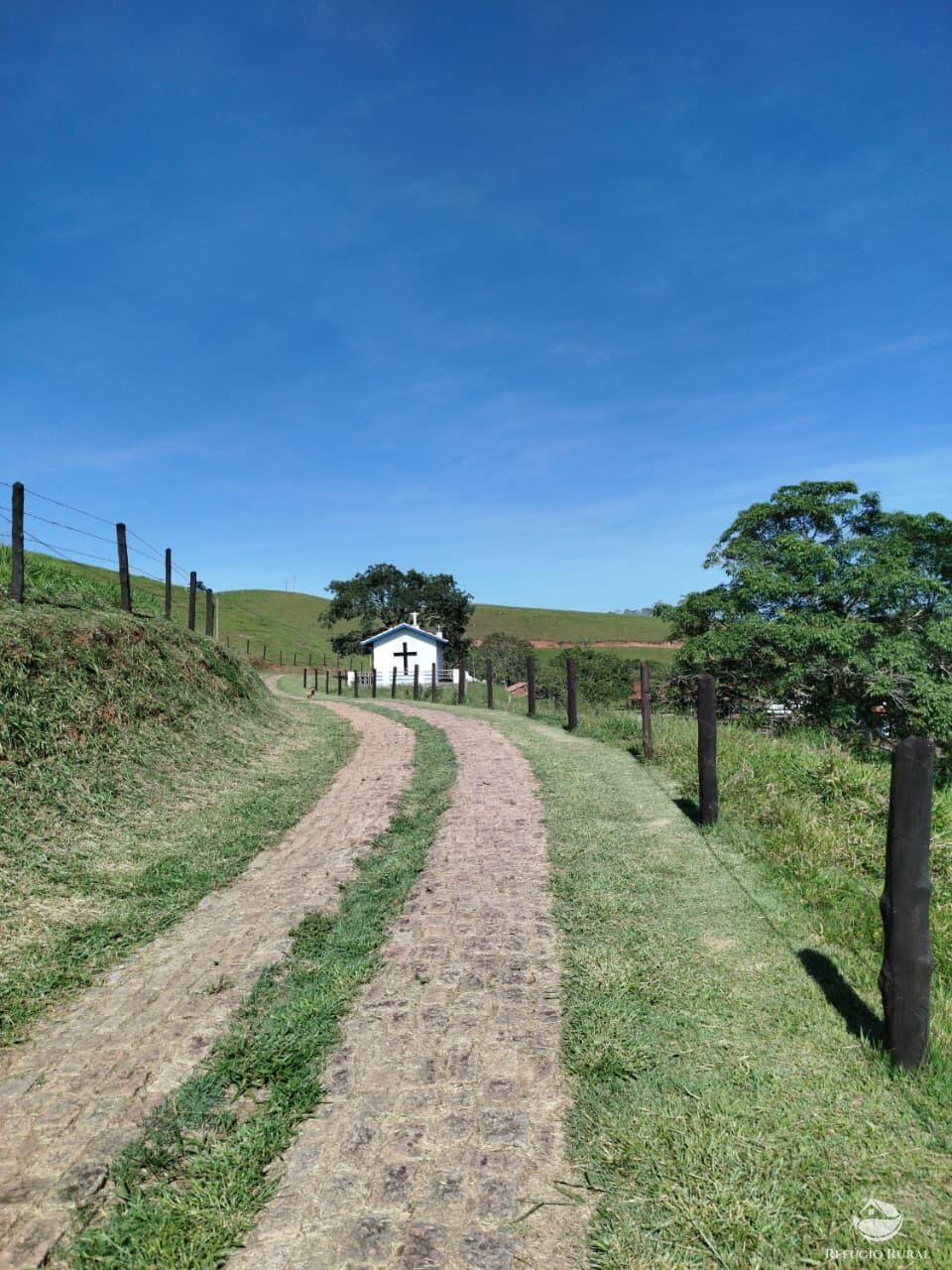 Fazenda, 87 hectares - Foto 37