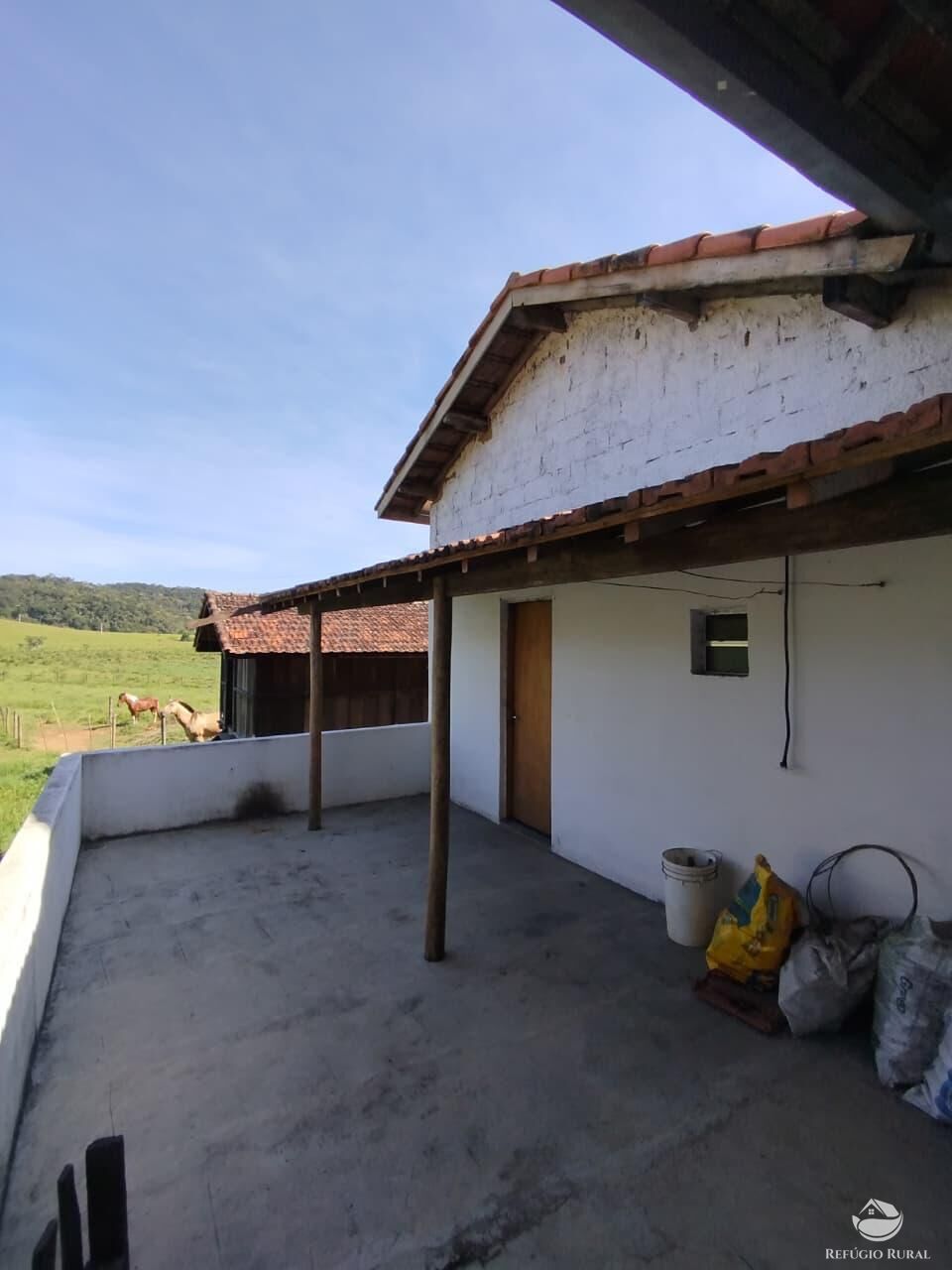 Fazenda, 87 hectares - Foto 30