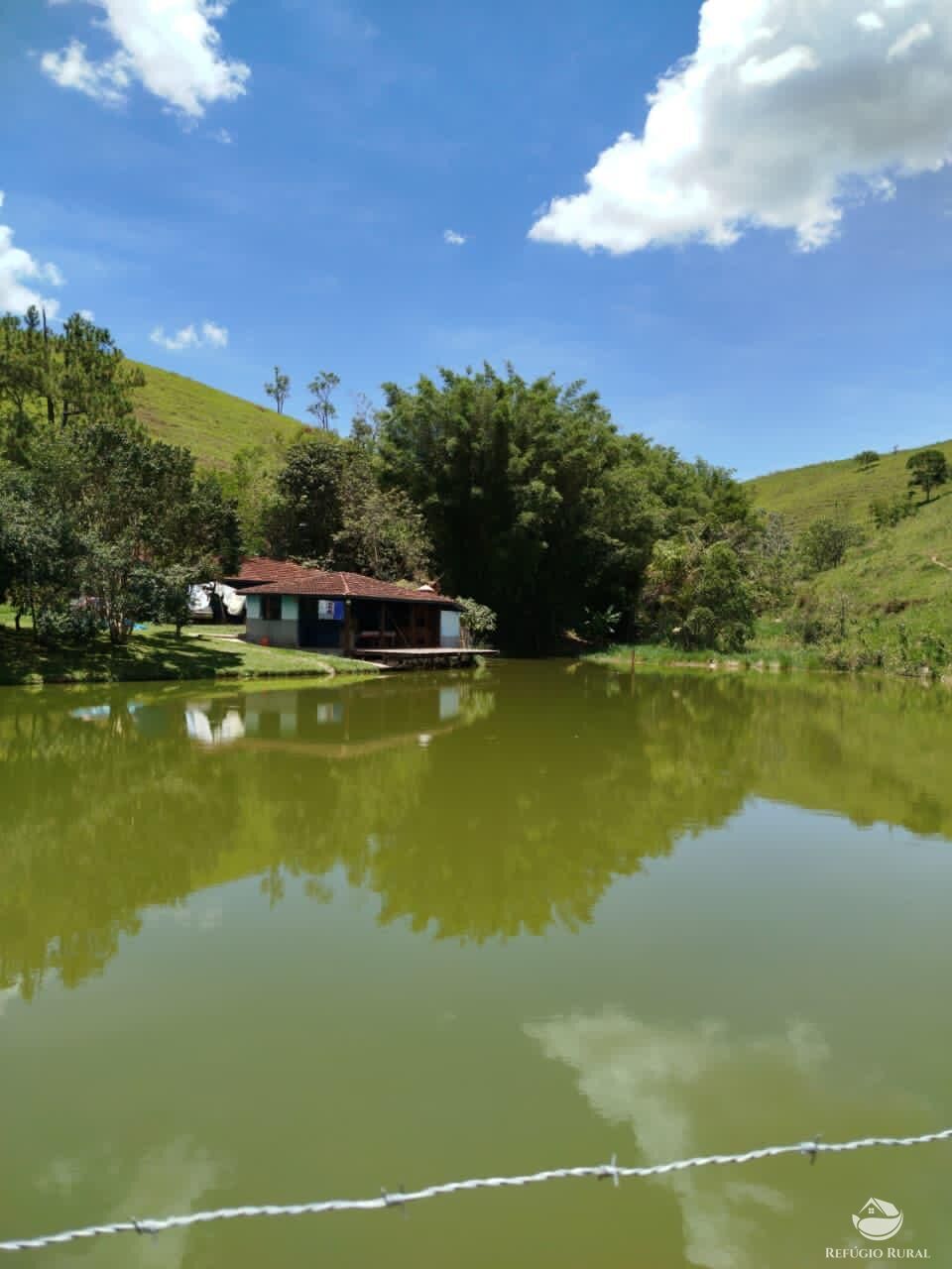 Fazenda, 87 hectares - Foto 3