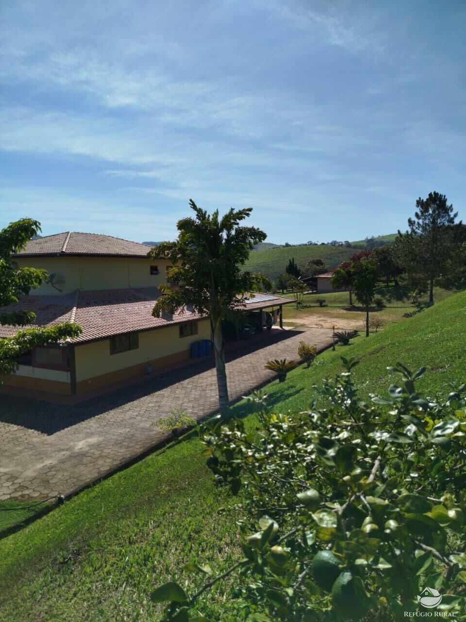 Fazenda, 87 hectares - Foto 28