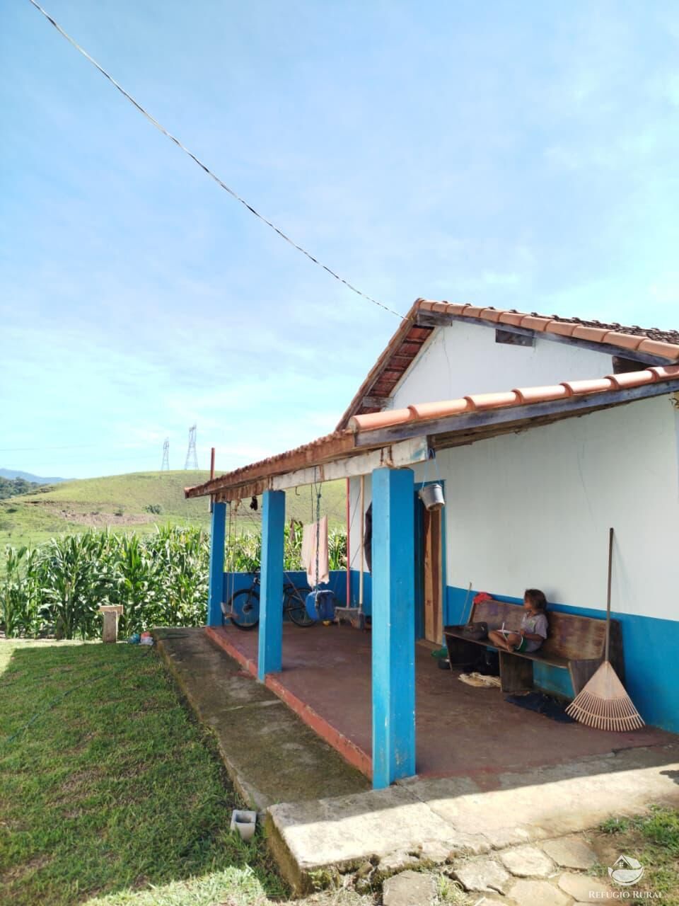 Fazenda, 87 hectares - Foto 23