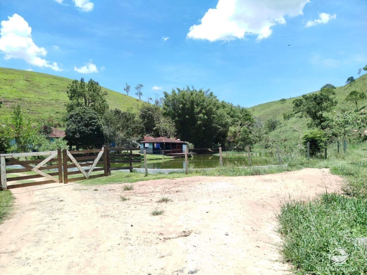 Fazenda, 87 hectares - Foto 48