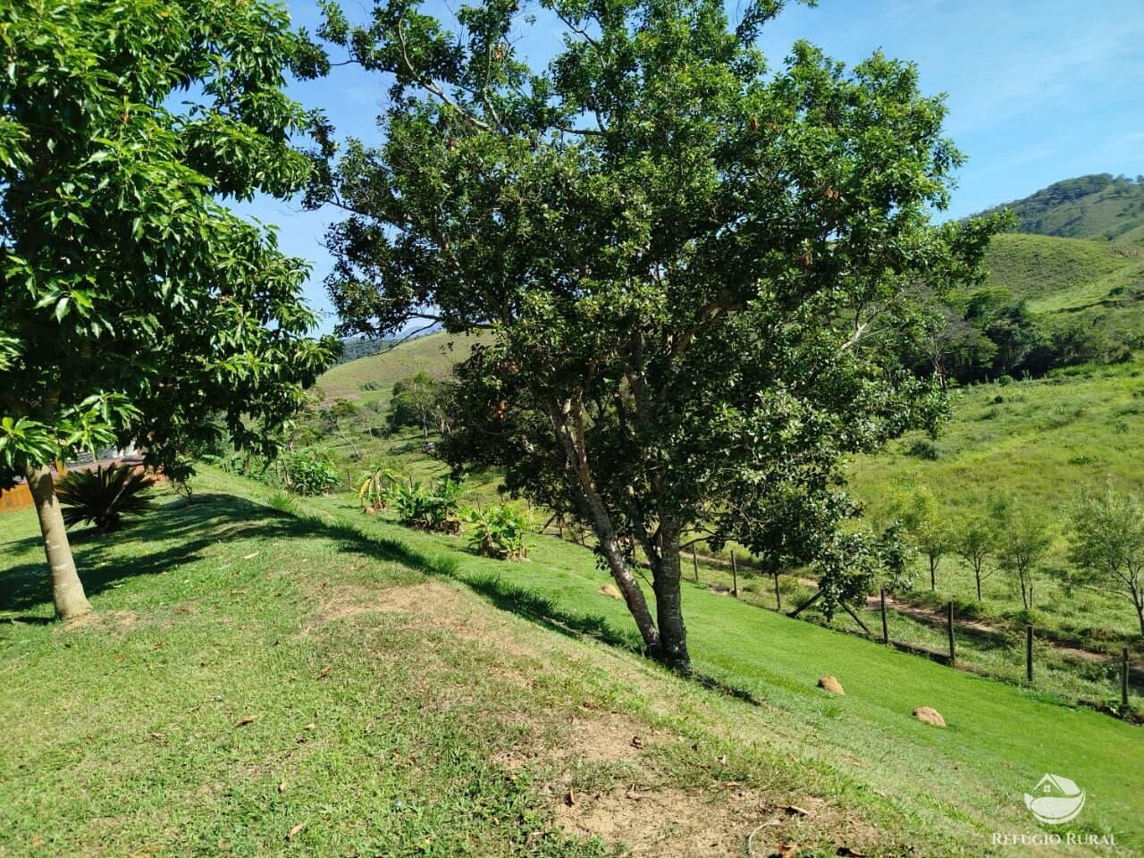 Fazenda, 87 hectares - Foto 24
