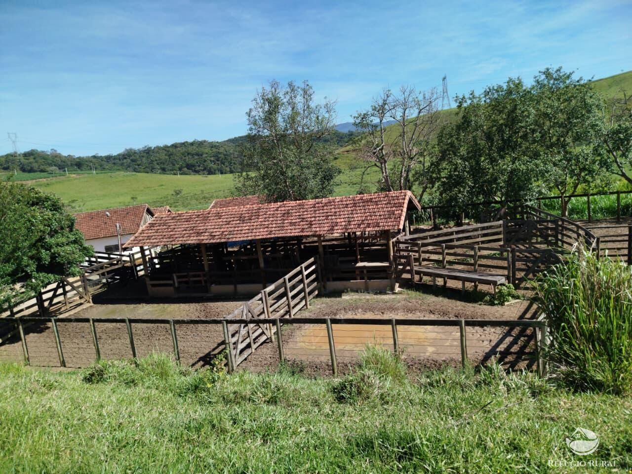 Fazenda, 87 hectares - Foto 25