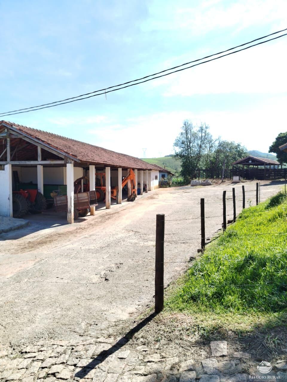 Fazenda, 87 hectares - Foto 42