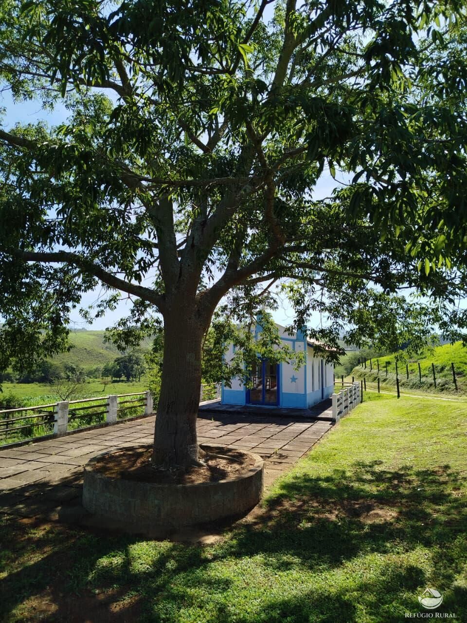 Fazenda, 87 hectares - Foto 29