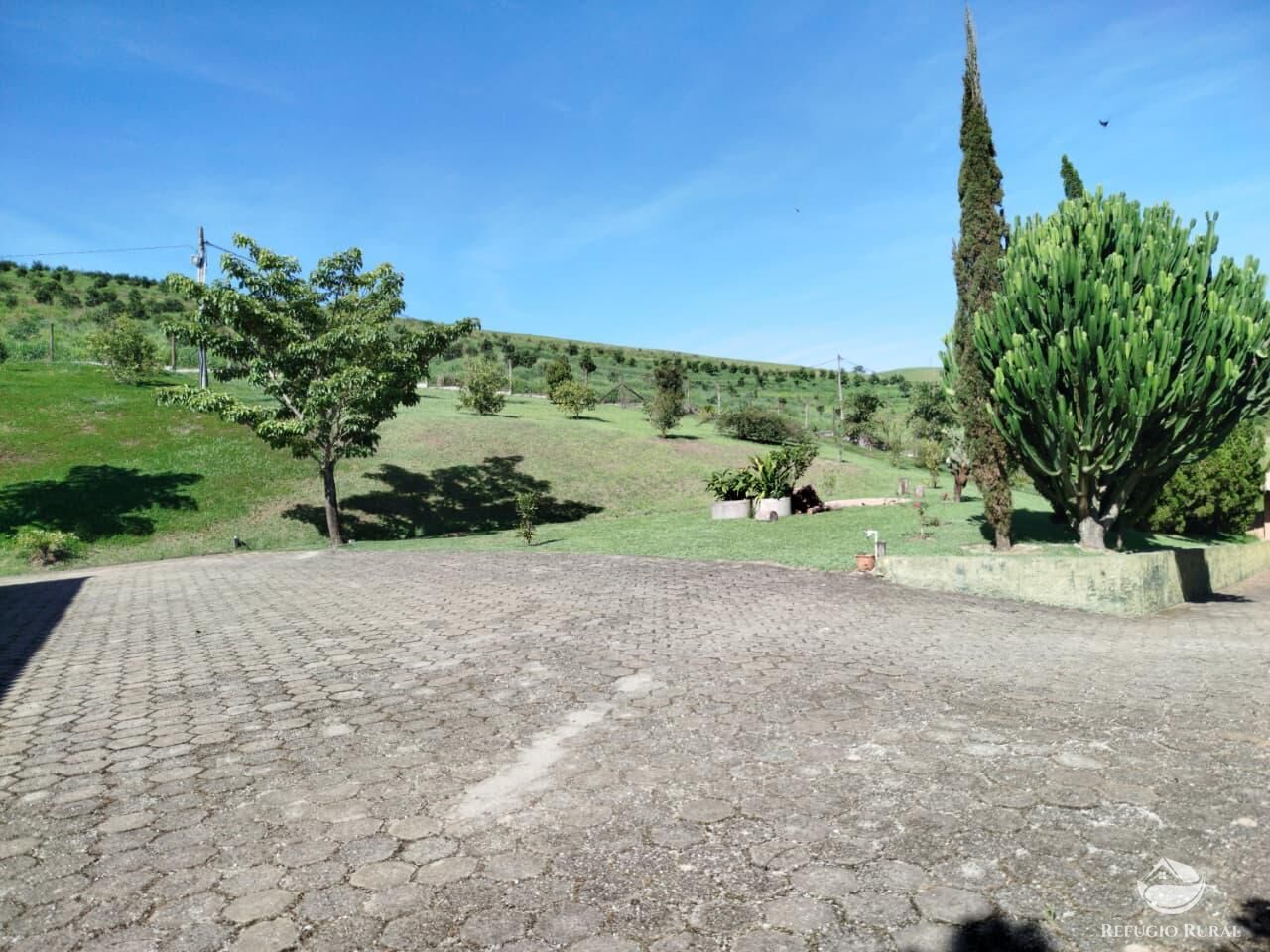 Fazenda, 87 hectares - Foto 12