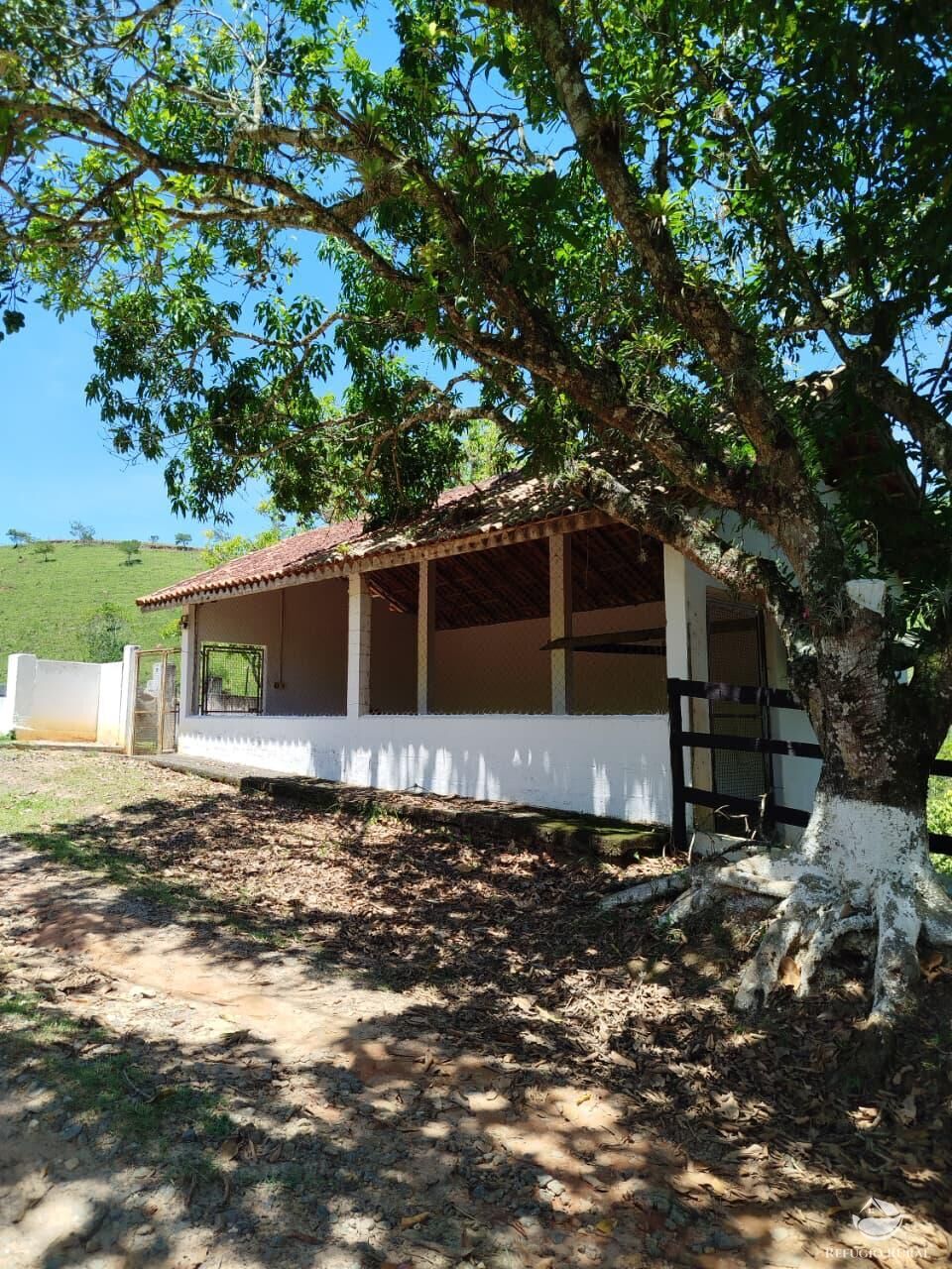 Fazenda, 87 hectares - Foto 11