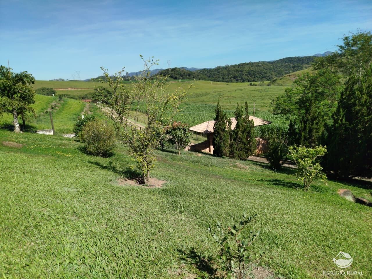 Fazenda, 87 hectares - Foto 41