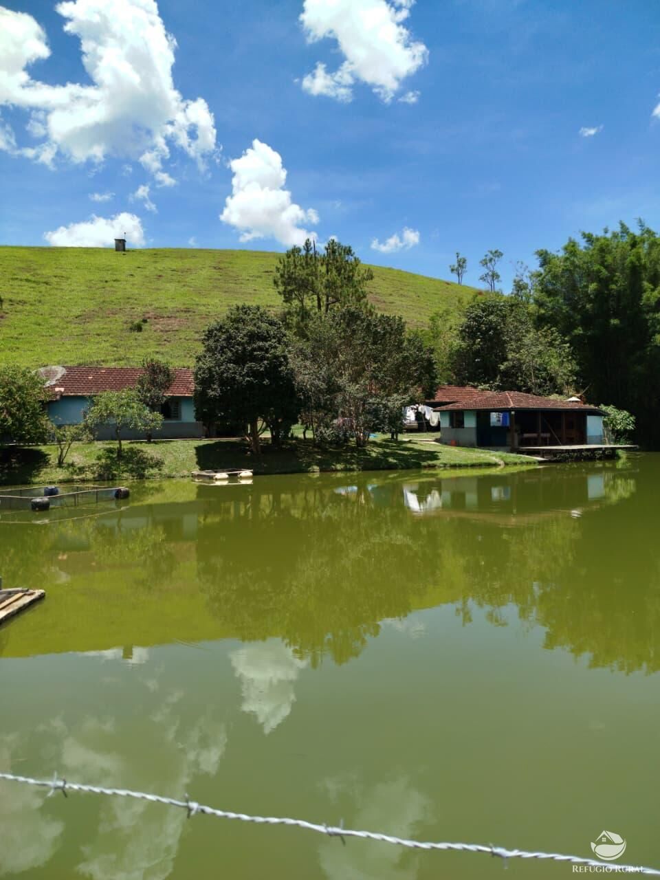 Fazenda, 87 hectares - Foto 49