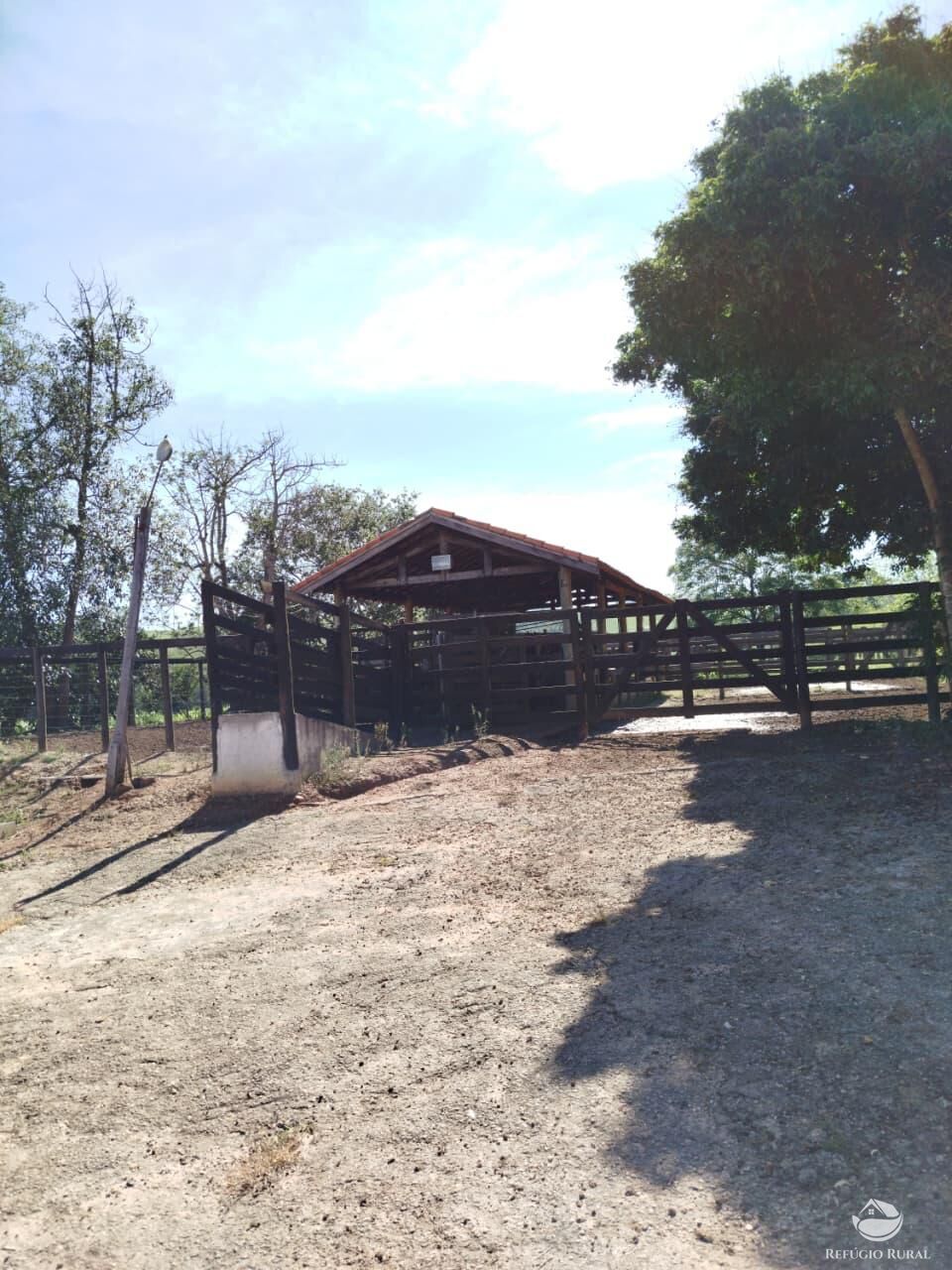 Fazenda, 87 hectares - Foto 40