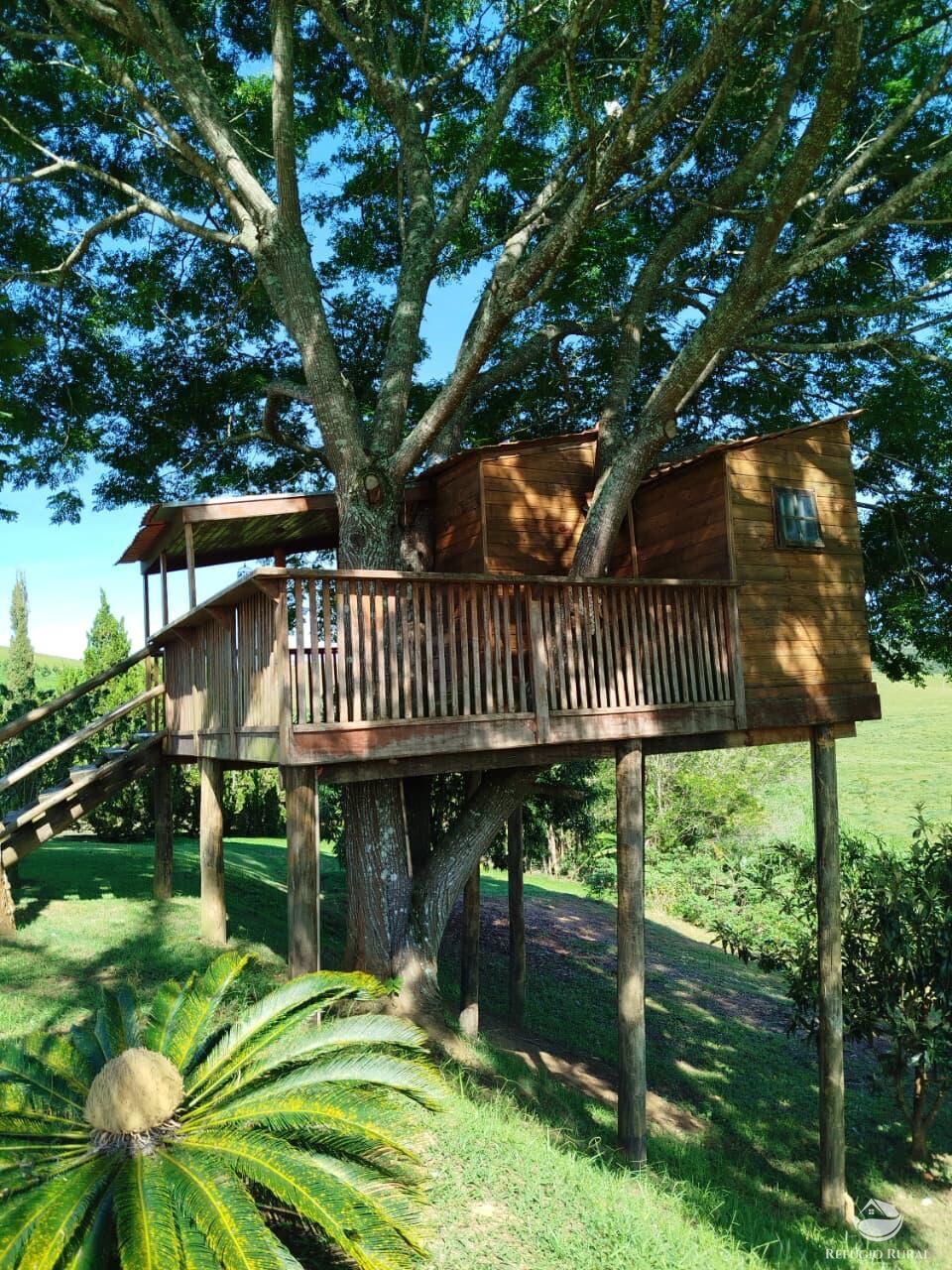 Fazenda, 87 hectares - Foto 39