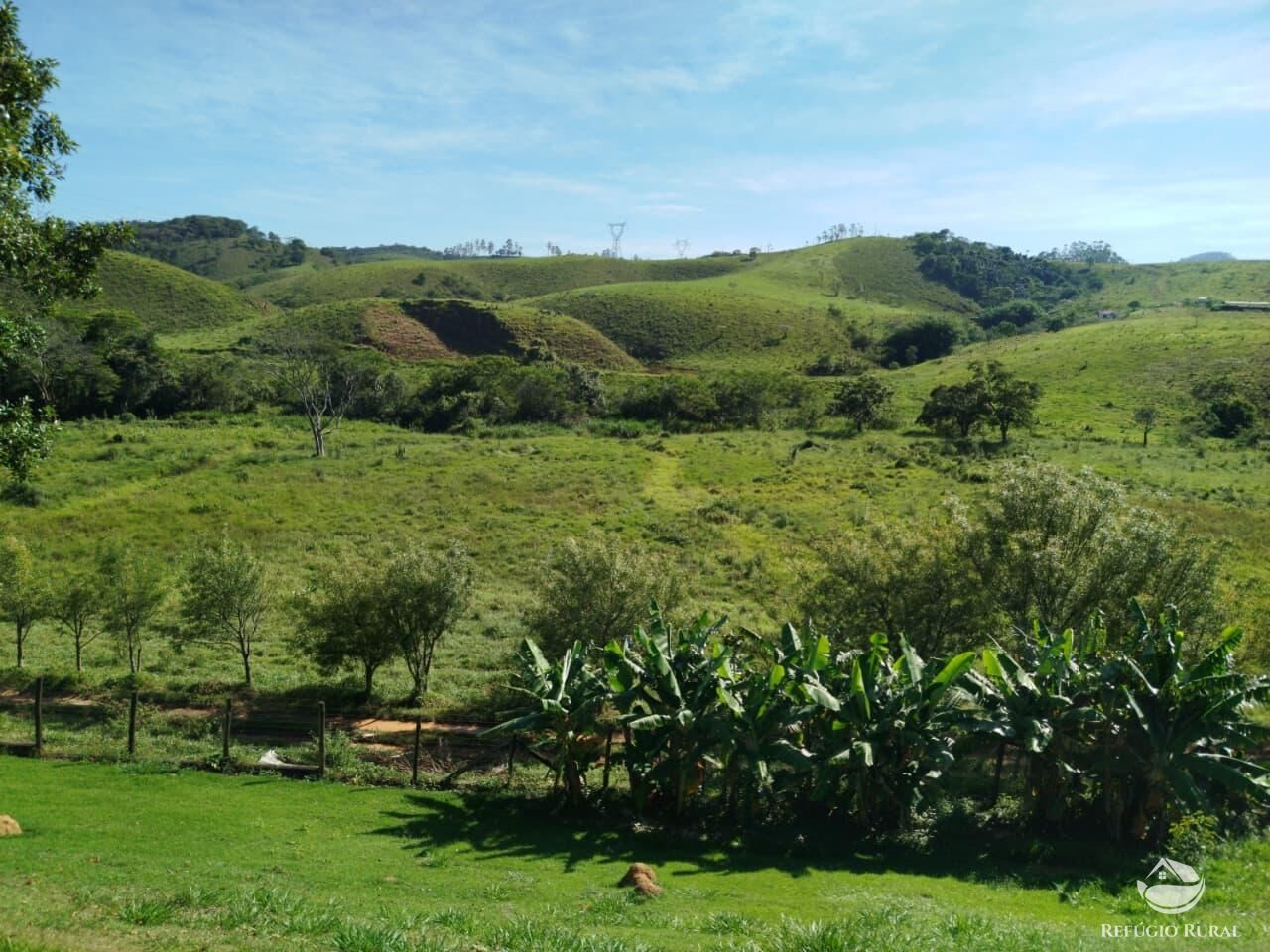 Fazenda, 87 hectares - Foto 21