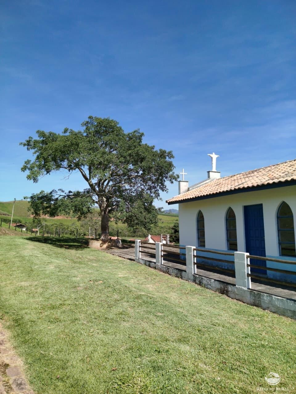 Fazenda, 87 hectares - Foto 18
