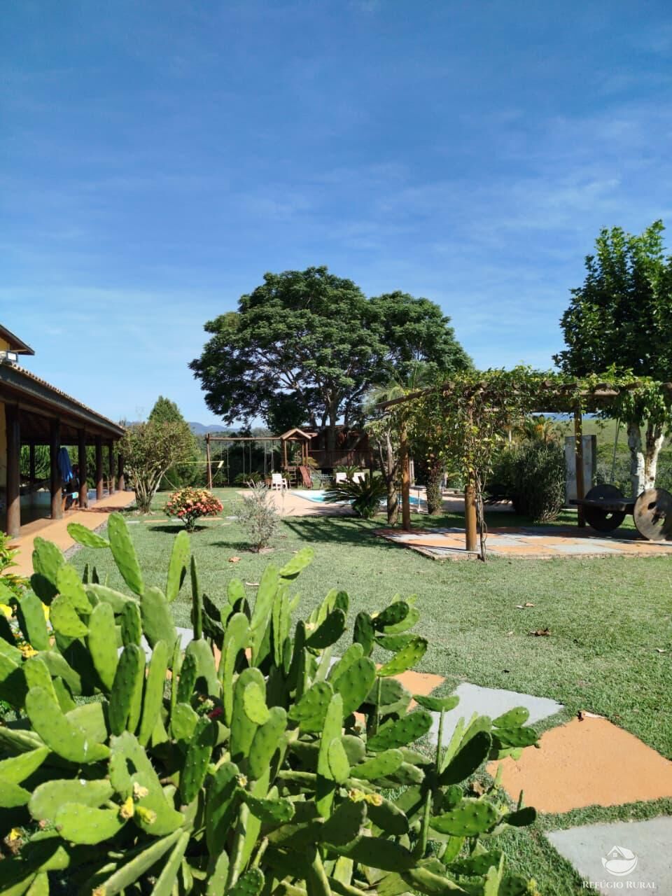 Fazenda, 87 hectares - Foto 17