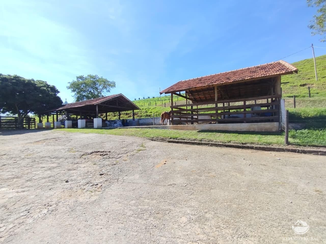 Fazenda, 87 hectares - Foto 31
