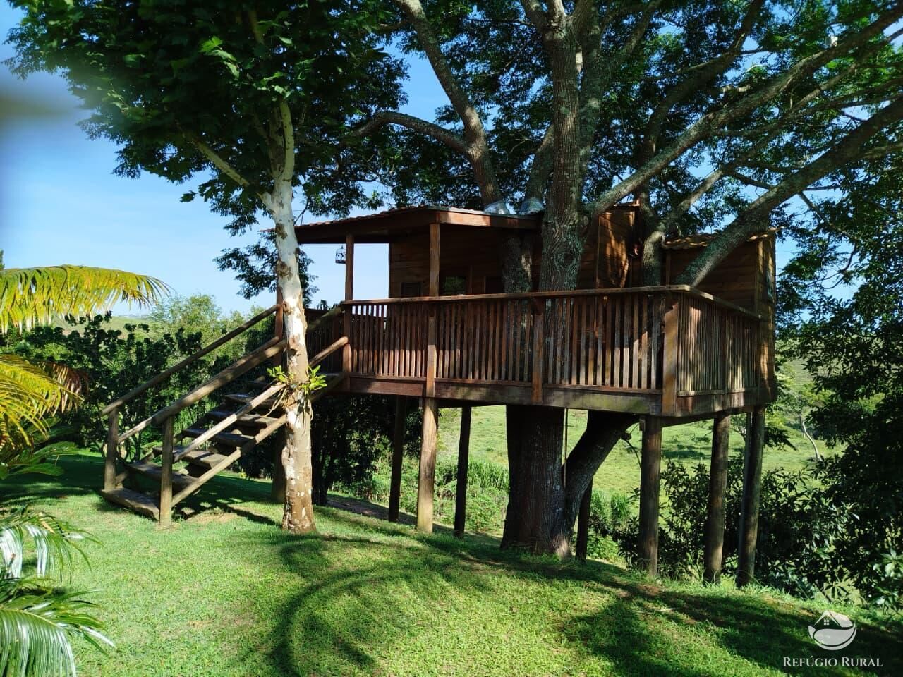 Fazenda, 87 hectares - Foto 26