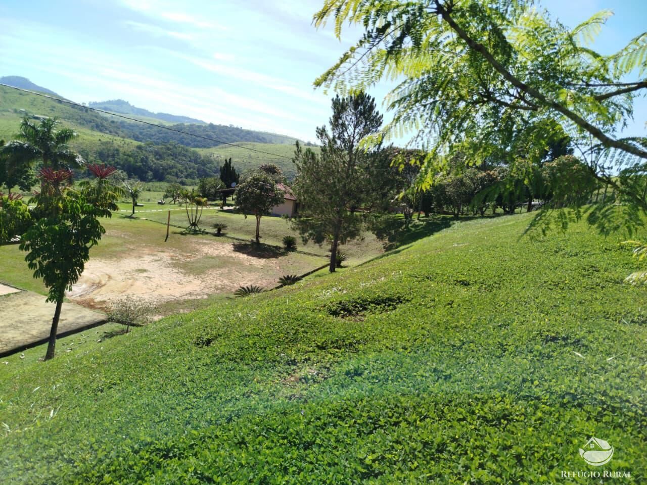 Fazenda, 87 hectares - Foto 33
