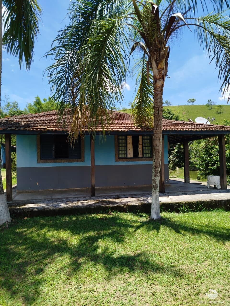 Fazenda, 87 hectares - Foto 4