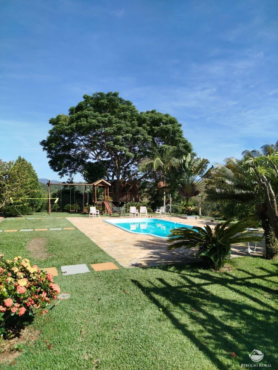 Fazenda, 87 hectares - Foto 5