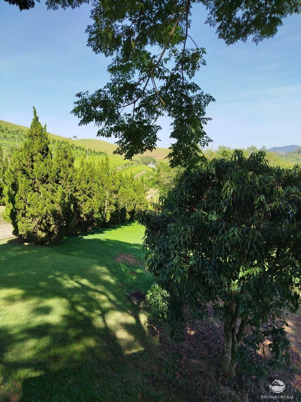 Fazenda, 87 hectares - Foto 27