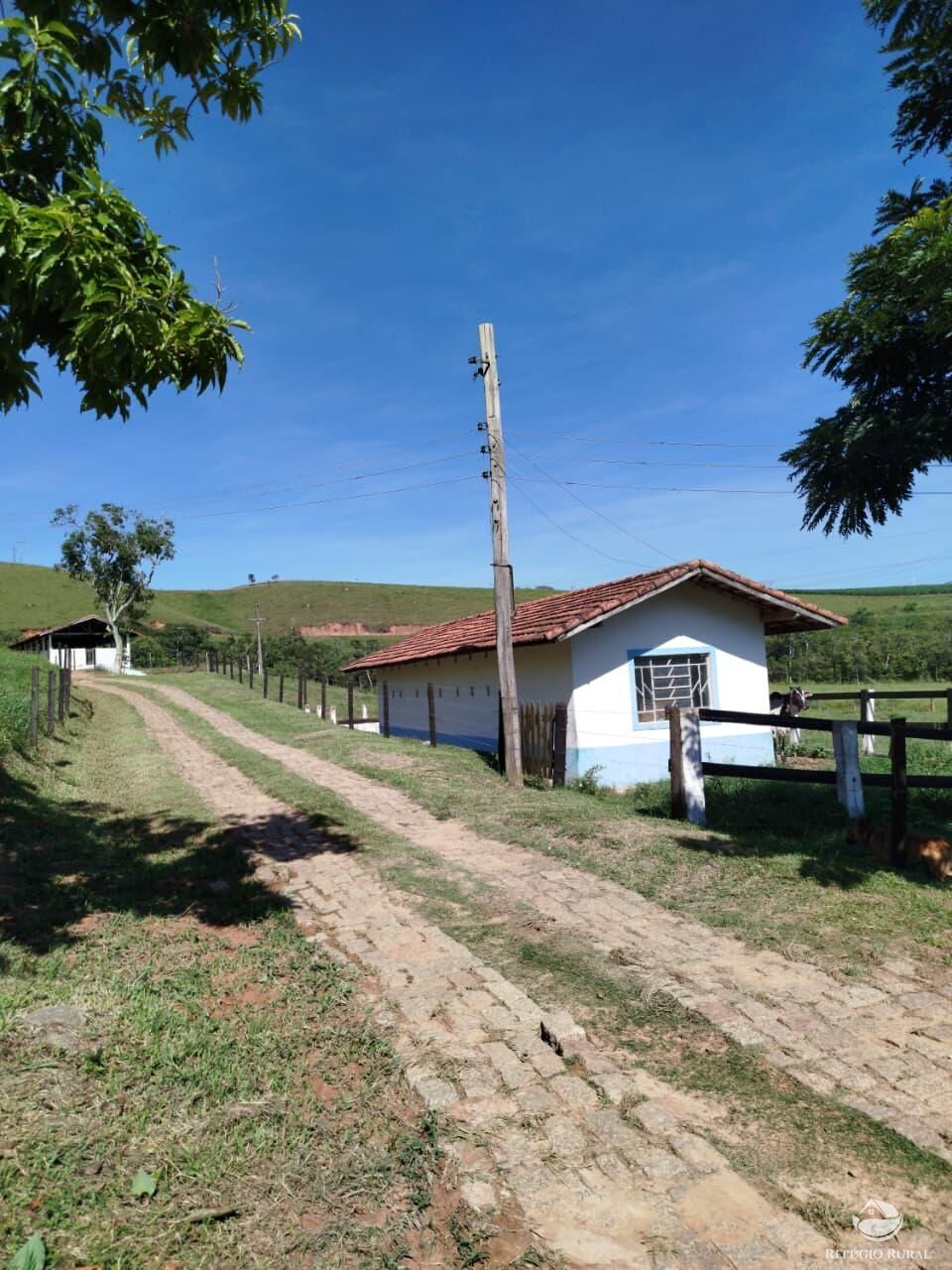Fazenda, 87 hectares - Foto 14