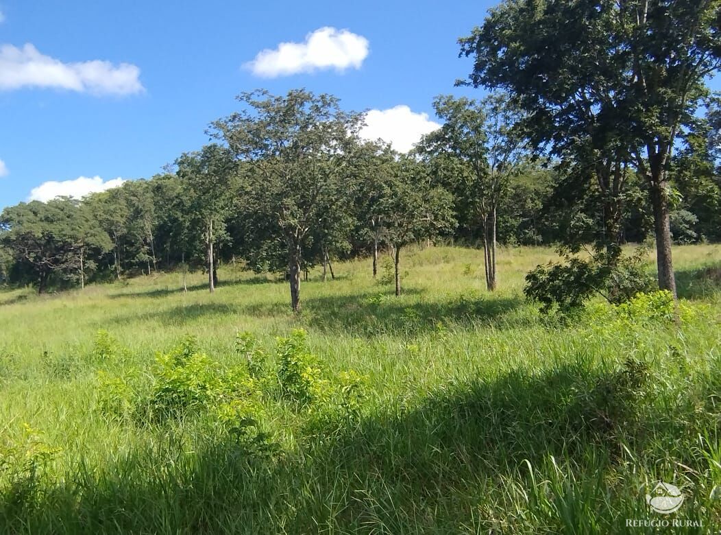Fazenda, 283 hectares - Foto 2