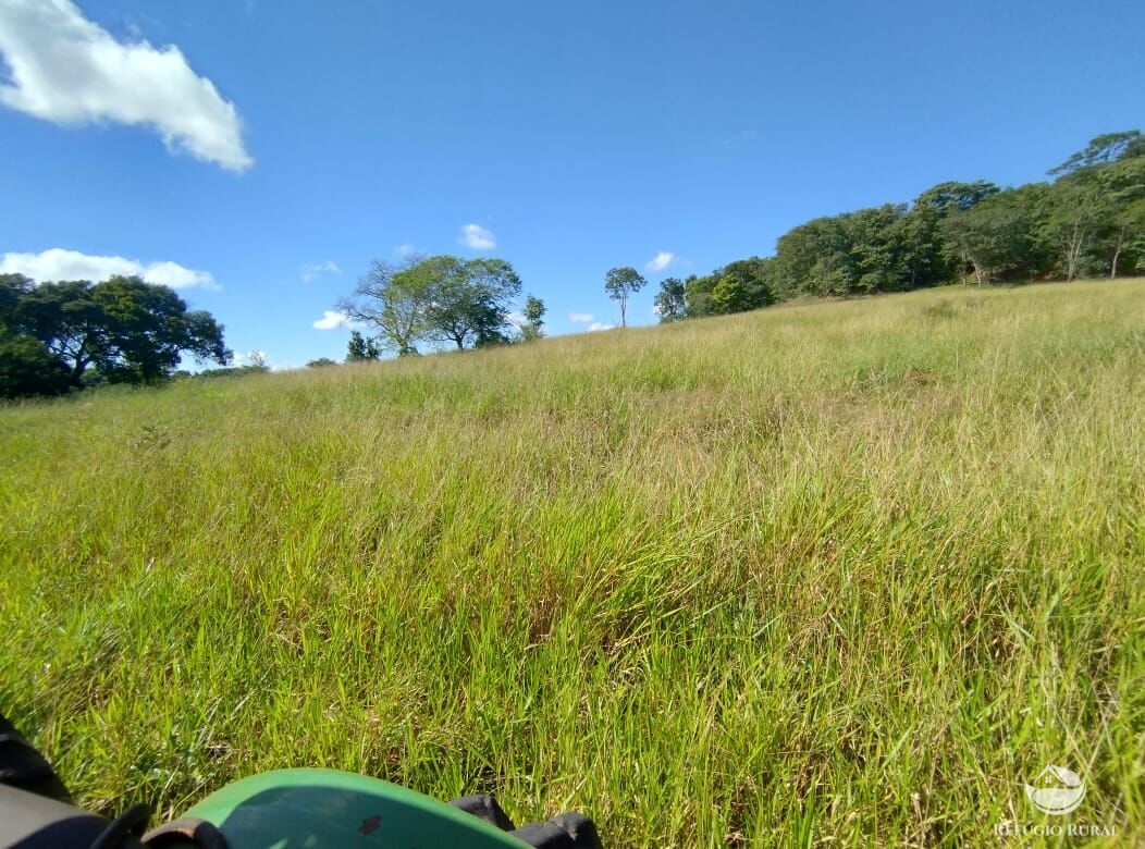 Fazenda, 283 hectares - Foto 4