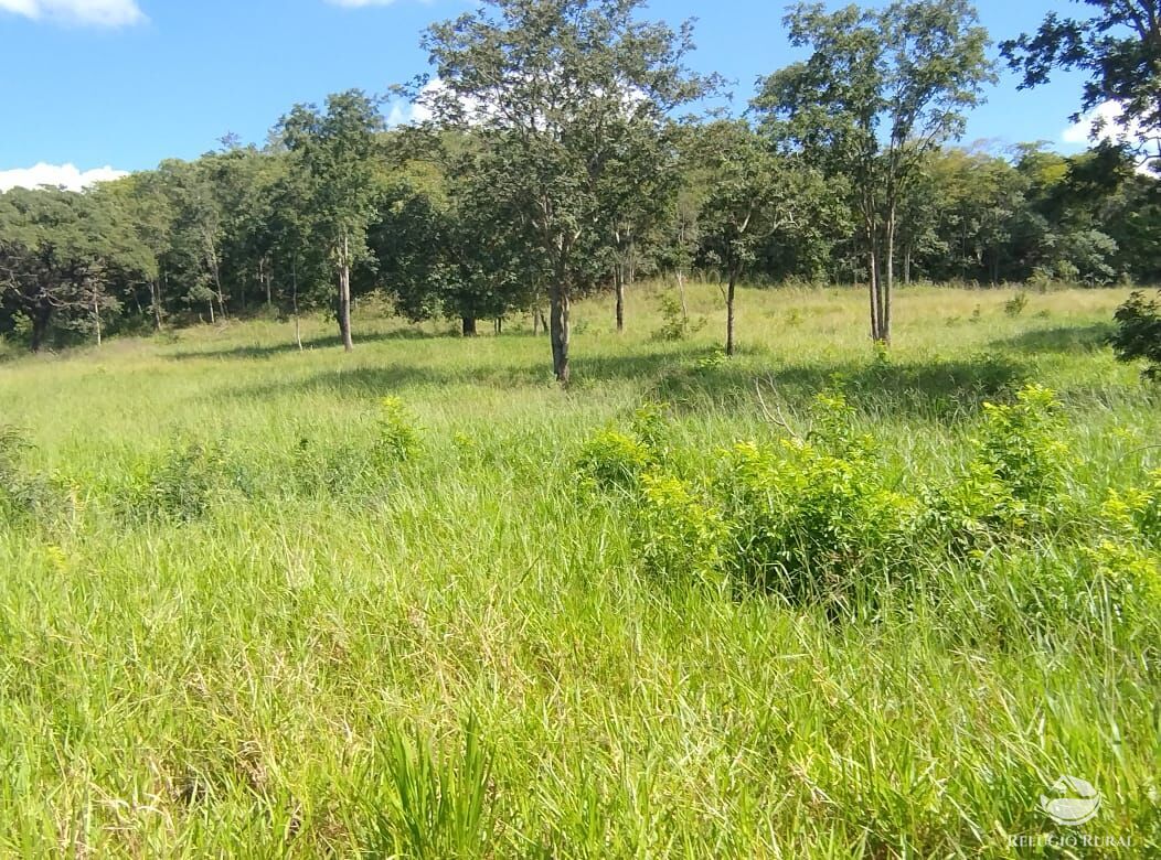 Fazenda, 283 hectares - Foto 3