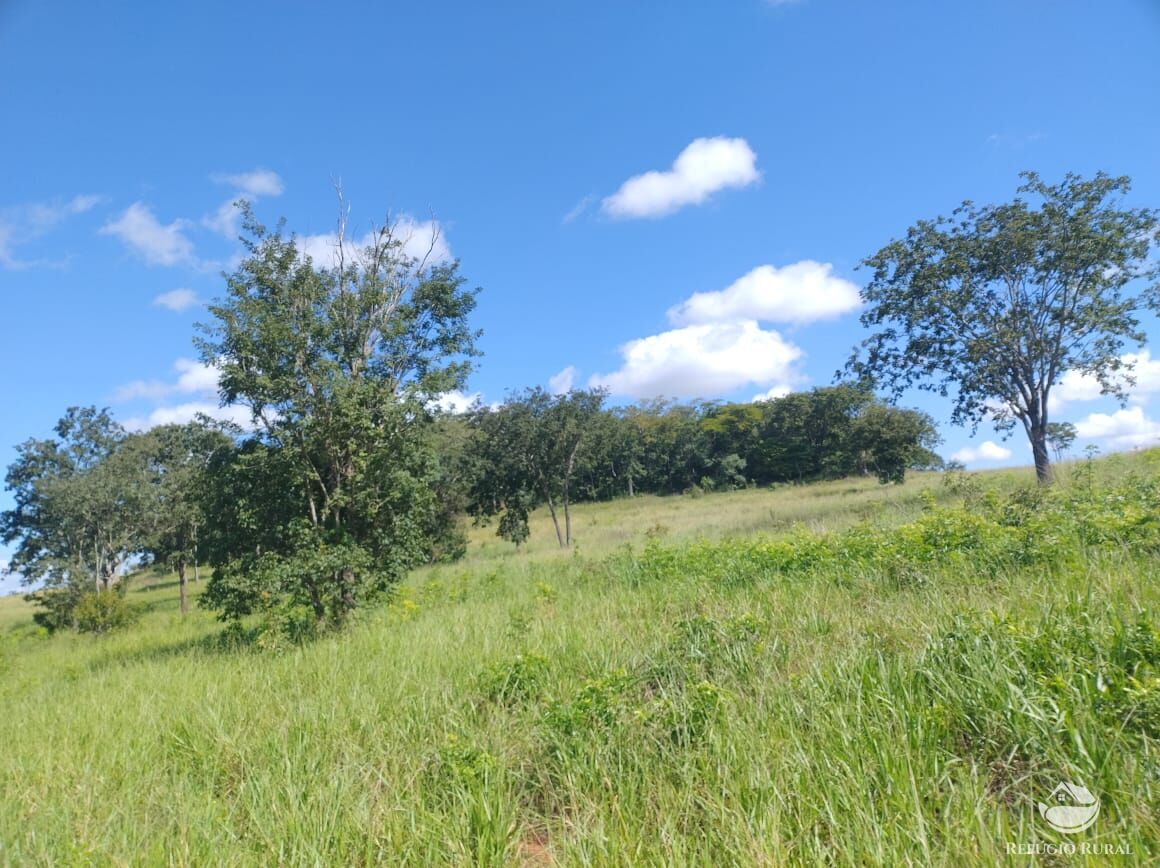 Fazenda, 283 hectares - Foto 1