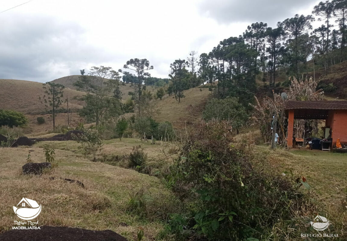 Fazenda à venda com 1 quarto, 3565600m² - Foto 5