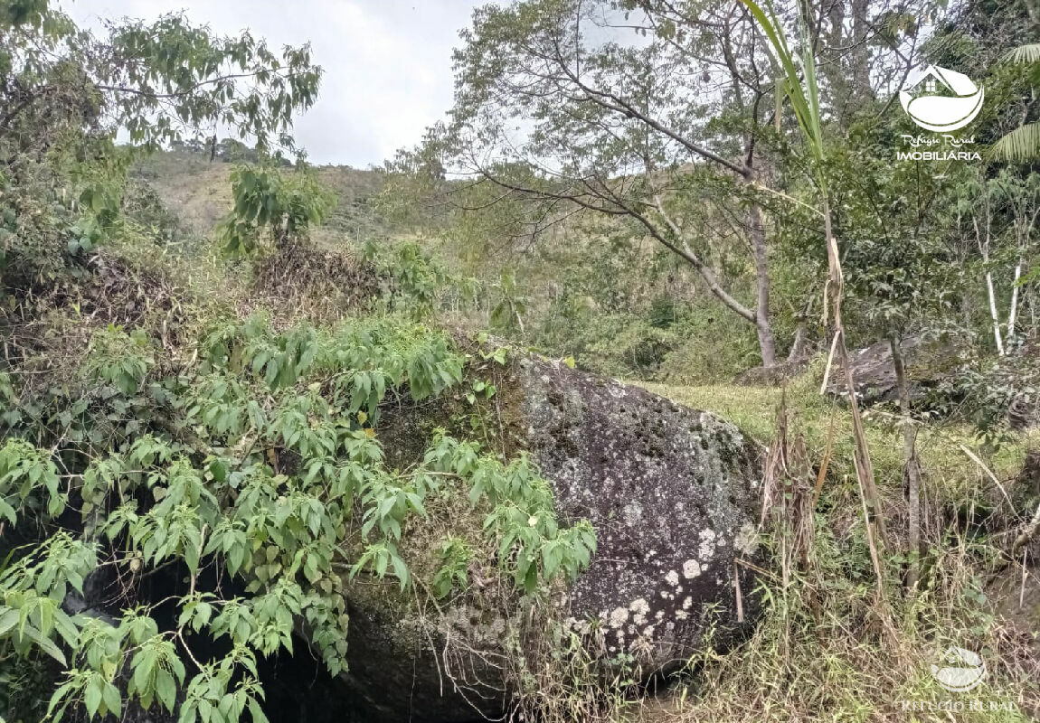 Fazenda à venda com 1 quarto, 3565600m² - Foto 24