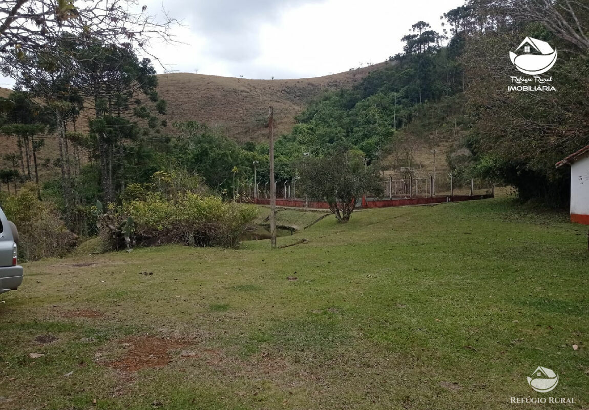 Fazenda à venda com 1 quarto, 3565600m² - Foto 11