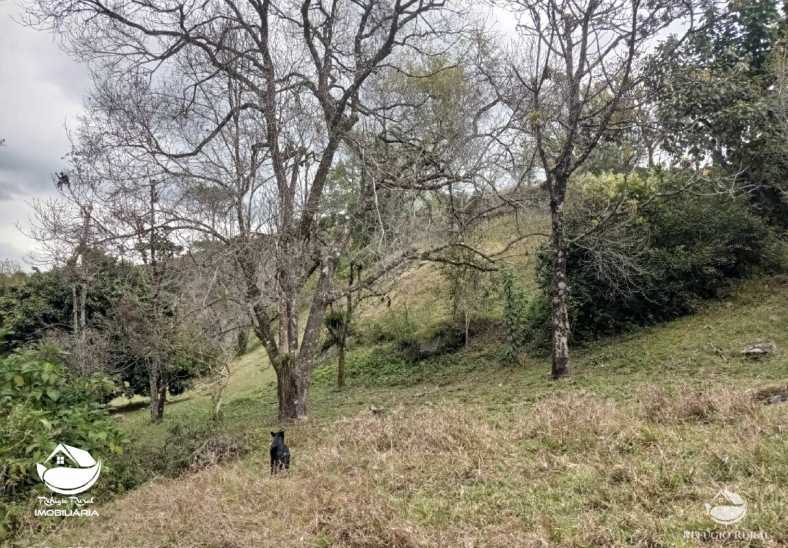 Fazenda à venda com 1 quarto, 3565600m² - Foto 17