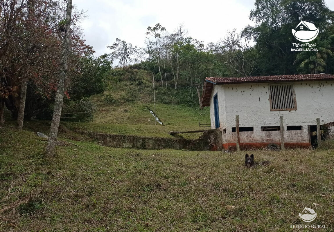 Fazenda à venda com 1 quarto, 3565600m² - Foto 3