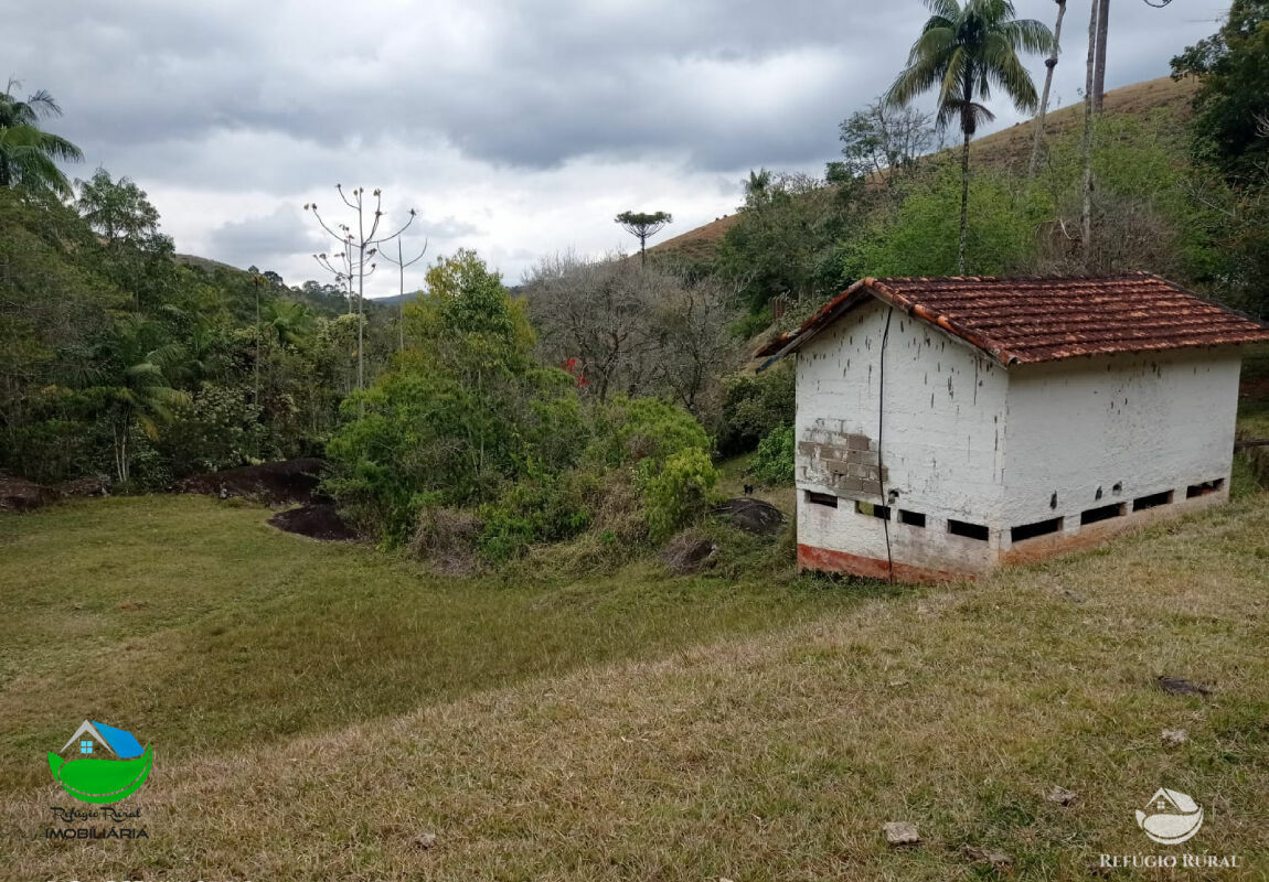 Fazenda à venda com 1 quarto, 3565600m² - Foto 6