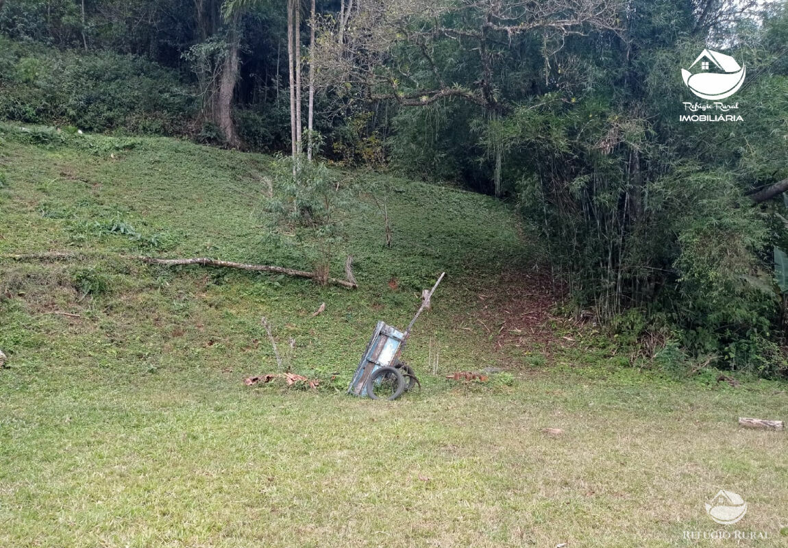 Fazenda à venda com 1 quarto, 3565600m² - Foto 10