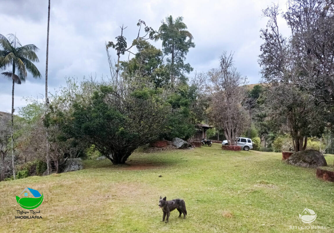 Fazenda à venda com 1 quarto, 3565600m² - Foto 20