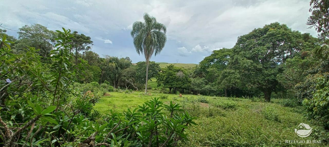 Fazenda à venda, 37000m² - Foto 30