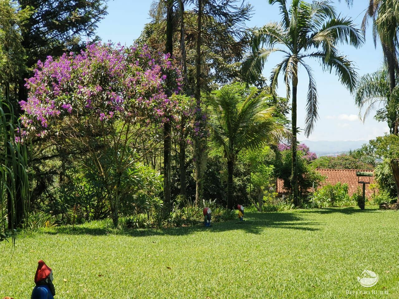 Fazenda à venda, 37000m² - Foto 7