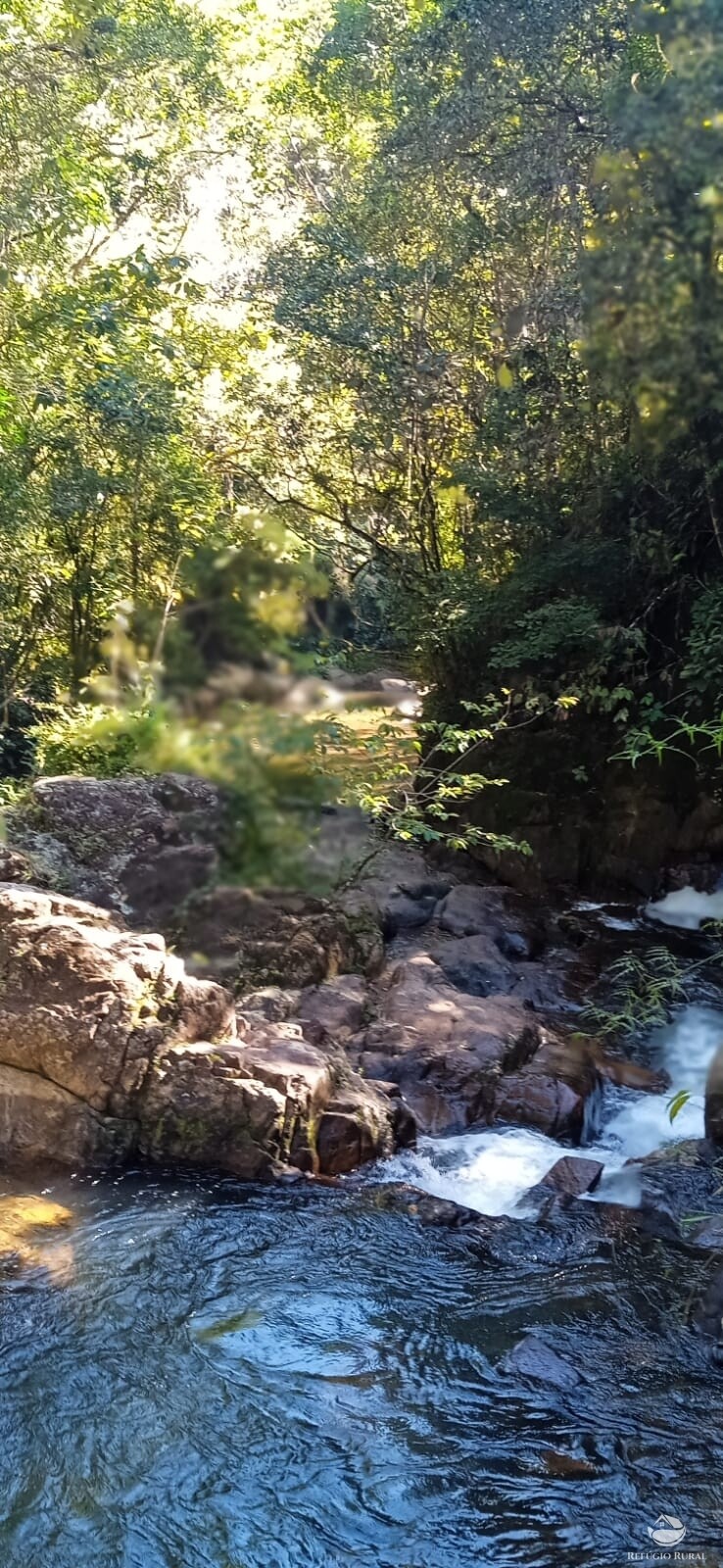 Fazenda à venda com 3 quartos, 100000m² - Foto 5