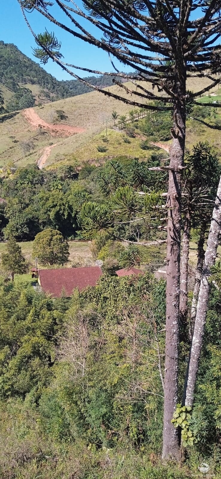 Fazenda à venda com 3 quartos, 100000m² - Foto 26