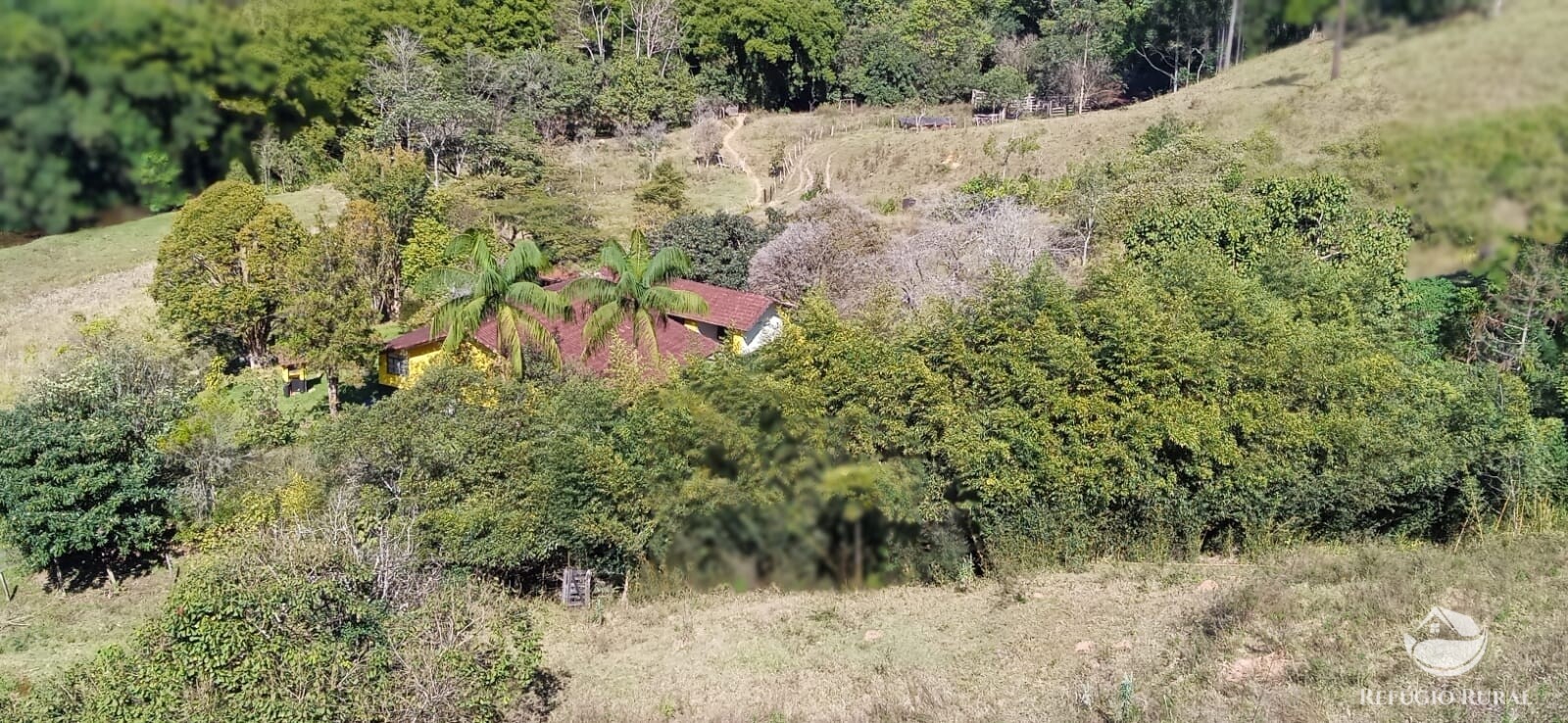 Fazenda à venda com 3 quartos, 100000m² - Foto 2