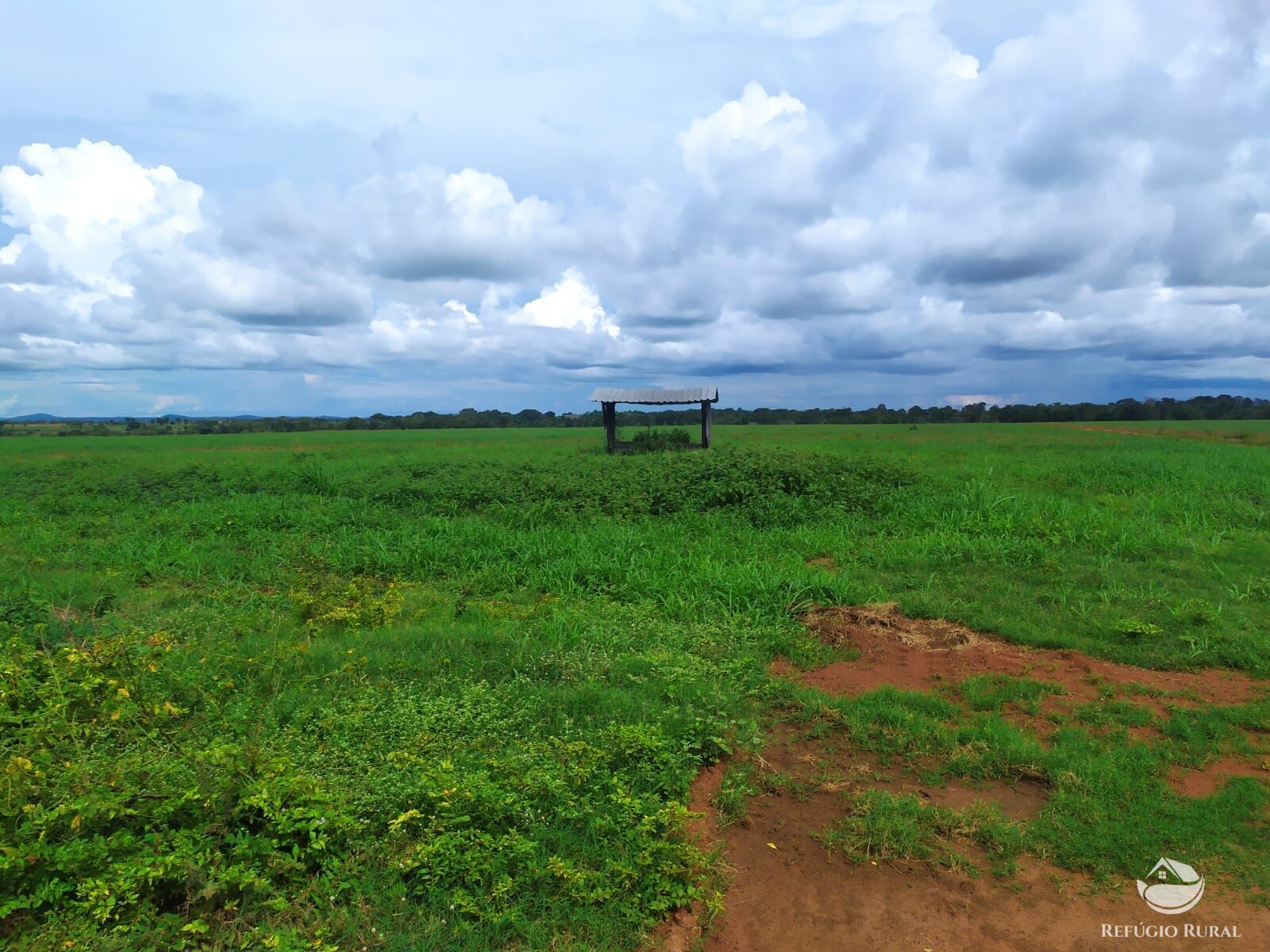 Fazenda à venda com 3 quartos, 8228000m² - Foto 37