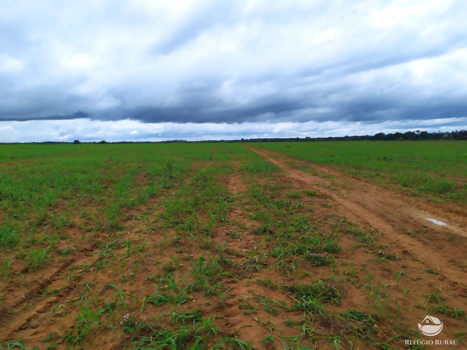 Fazenda à venda com 3 quartos, 8228000m² - Foto 23