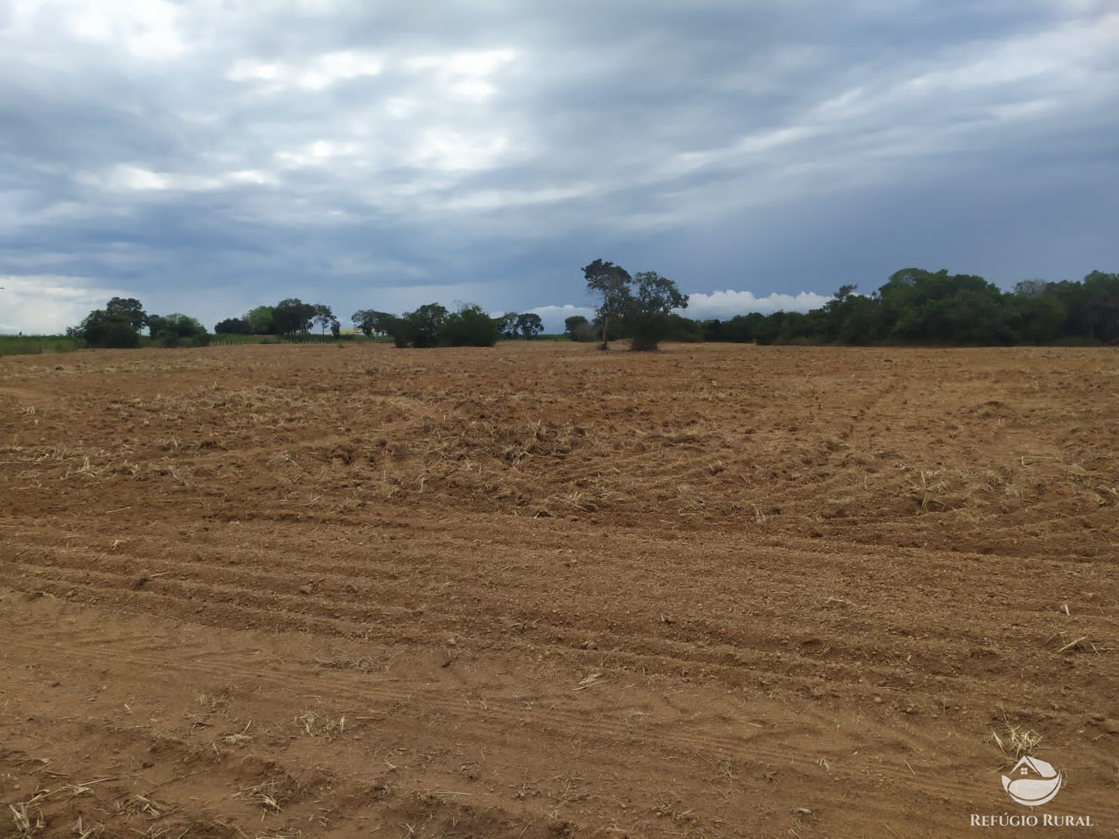 Fazenda à venda com 3 quartos, 8228000m² - Foto 26