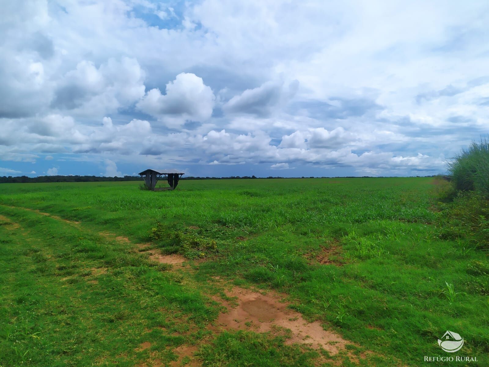 Fazenda à venda com 3 quartos, 8228000m² - Foto 3