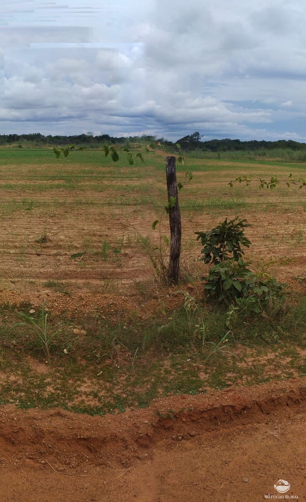 Fazenda à venda com 3 quartos, 8228000m² - Foto 44