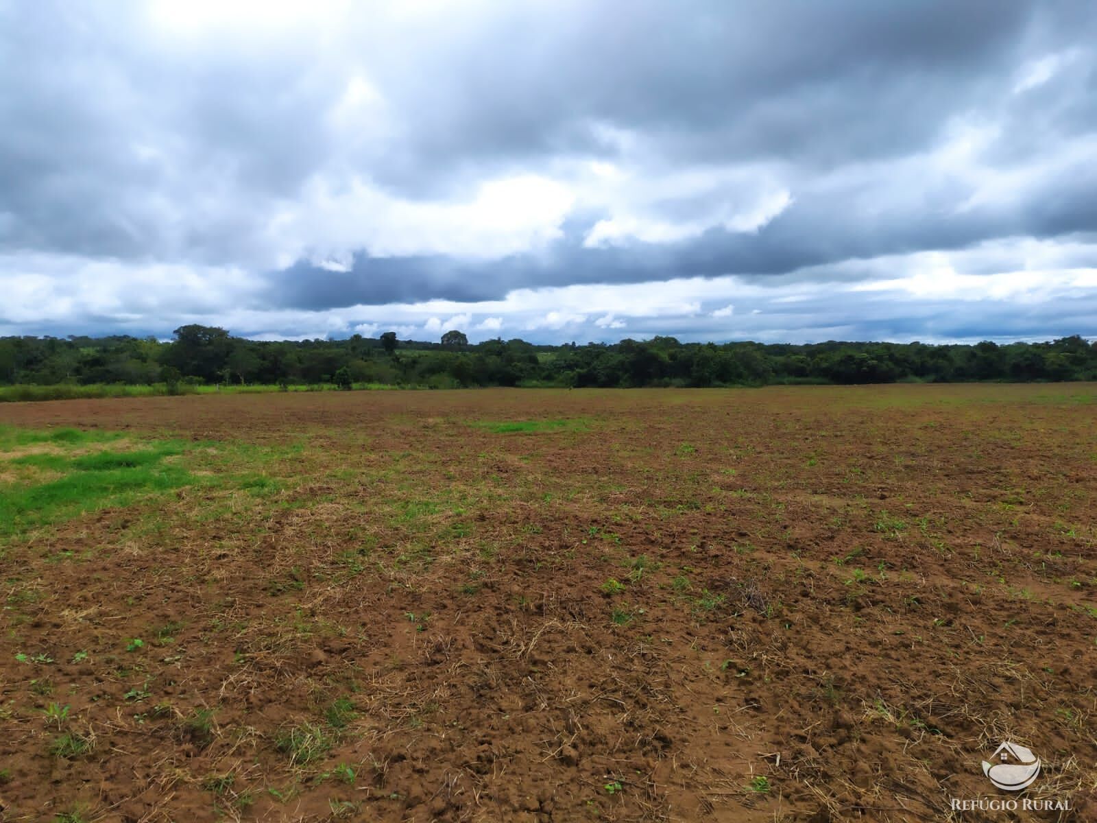 Fazenda à venda com 3 quartos, 8228000m² - Foto 40