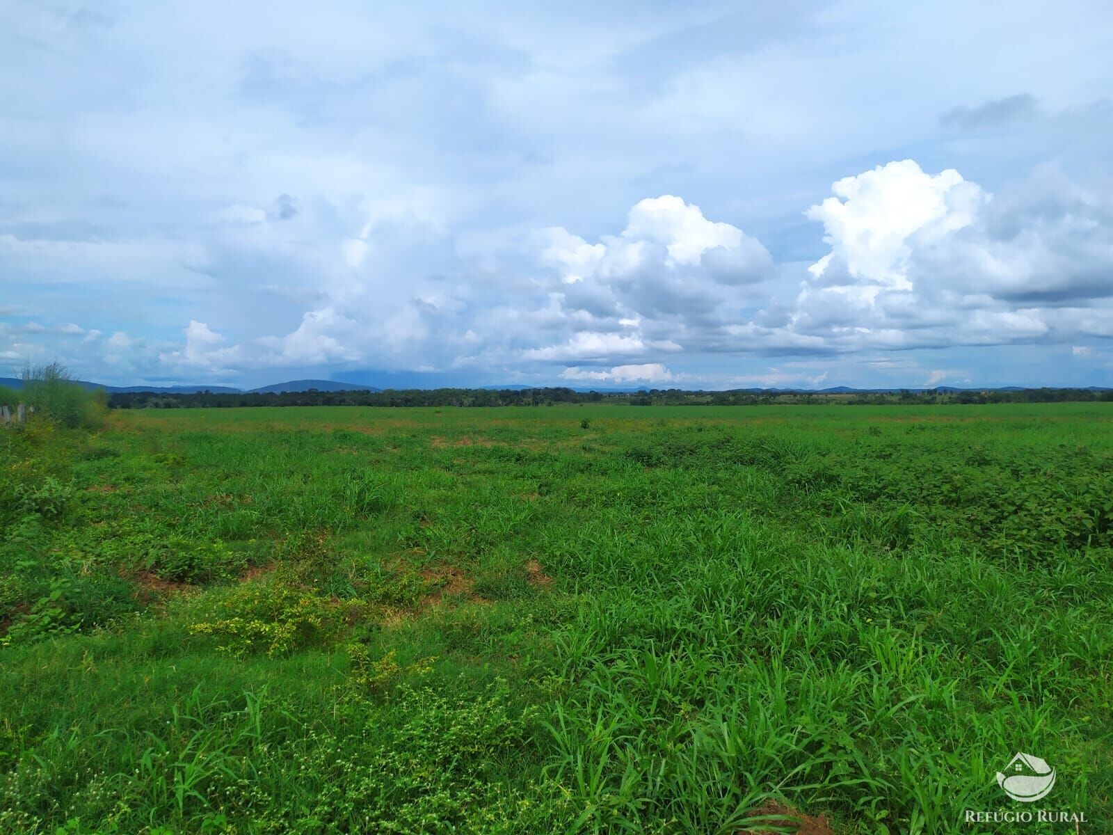 Fazenda à venda com 3 quartos, 8228000m² - Foto 8